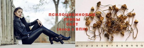 не бодяженный Нея
